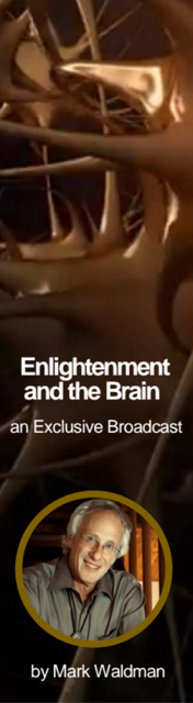 enlightenment and the brain