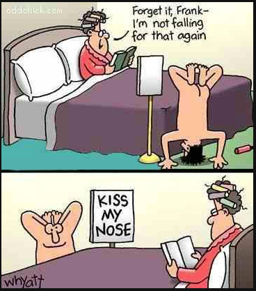 Playful intimacy: The charm of a 'Kiss My Nose' moment
