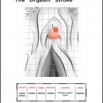 Cartographic delight: Navigating ecstasy with Orgasm Stroke eBook