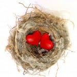 Hearts in Nest: Love's Cozy Embrace