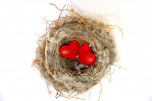 Hearts in Nest: Love's Cozy Embrace