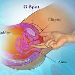 G-Spot Map: The Ultimate Guide