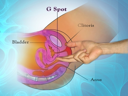 G-Spot Map: The Ultimate Guide