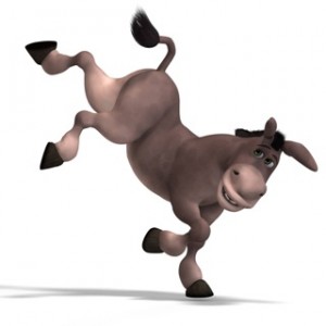 Charming donkey with countryside charm