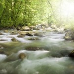 Transform Your World: Life-Improvement Essentials