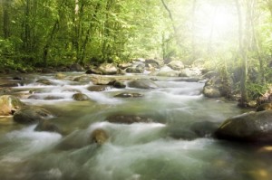 Transform Your World: Life-Improvement Essentials