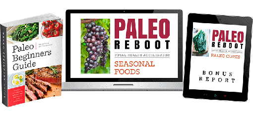 paleo cookbook