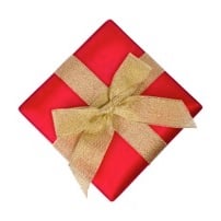 Meaningful Present: Embrace the Thoughtful Gift