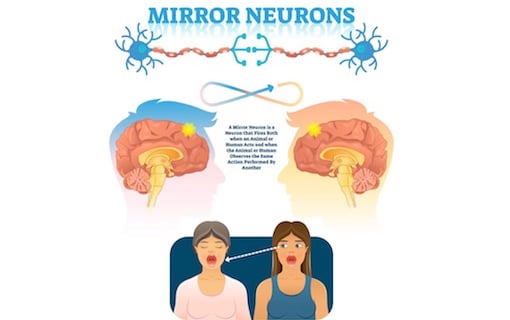How To Trigger The Emotional Desire Centers Of Her Brain