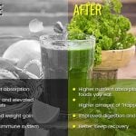 Energizing Green Juice: Visual Results