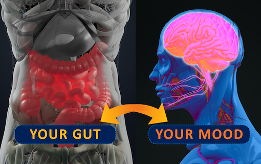 Restoring Gut Health: Tackling Leaky Gut Issues