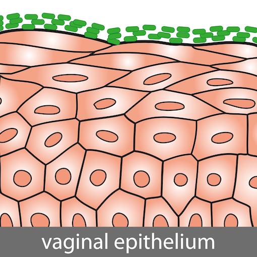 collagen deficiency