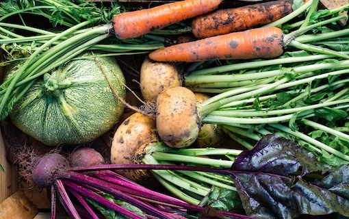 Fresh produce from a survival garden