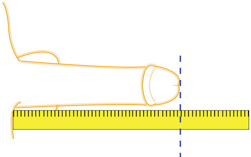 How To Measure Penis Size