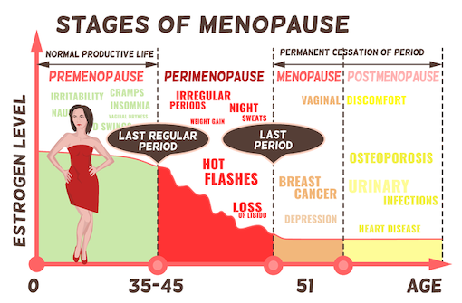 estrogen facts