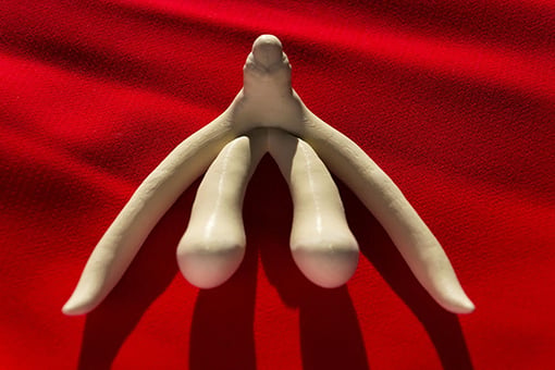 Highly Erotic Cunnilingus Tip Inside 1 best oral techniques for her