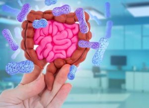 Life's Energy Source: Mitochondria
