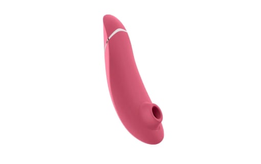 Choosing The Right Sex Toy For You 12 womanizer