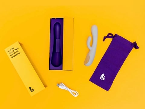 This Vibrator Teaches Advanced Orgasm Calculus 2 Lioness Inclusions